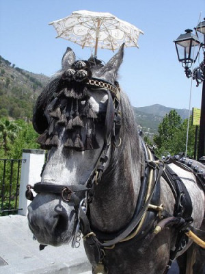 Mijas in Andalusien2
