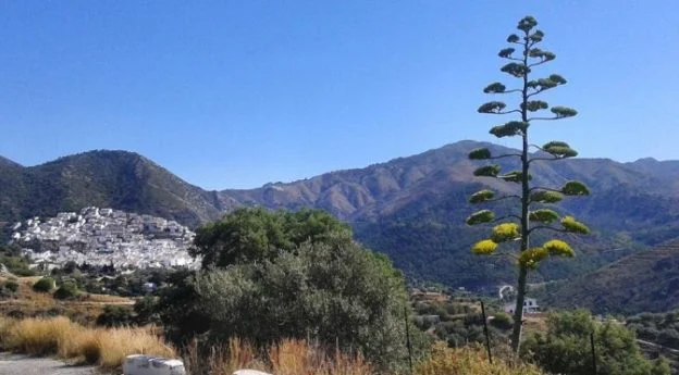 Ojen bei Marbella