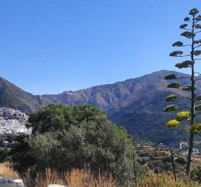 Ojen bei Marbella